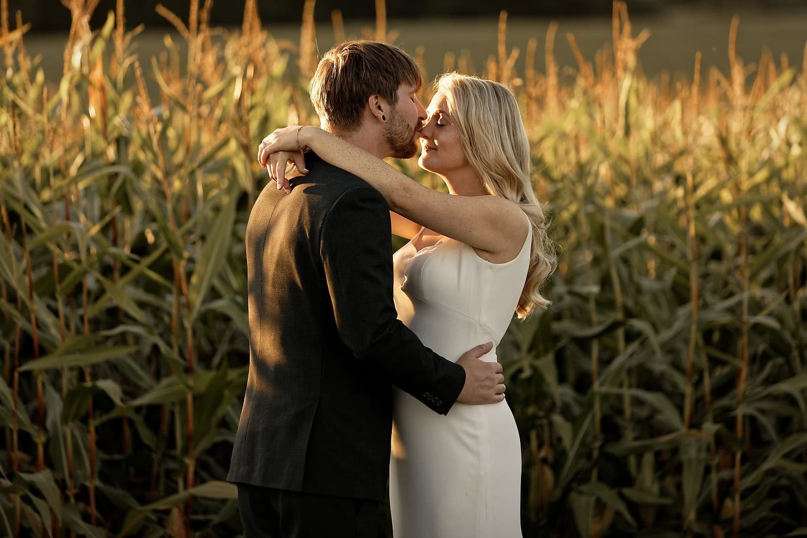 Bride and groom kissing in the cornfield behind Fitzleroi Barn, West Sussex