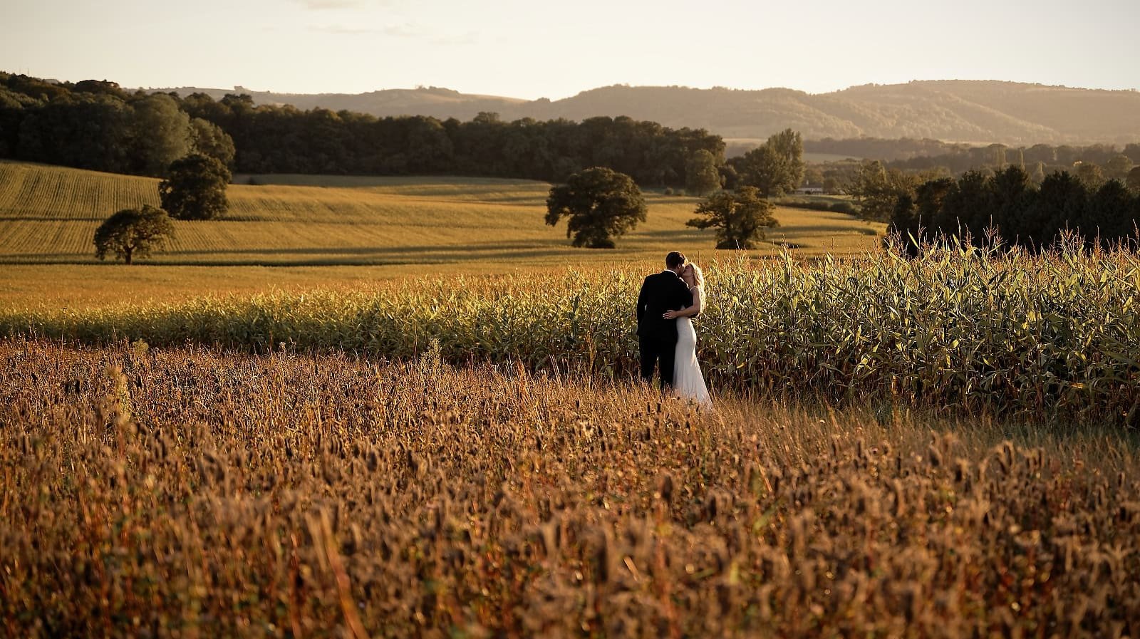 Fitzleroi Barn wedding photographer captures the couple embracing in a golden cornfield at sunset