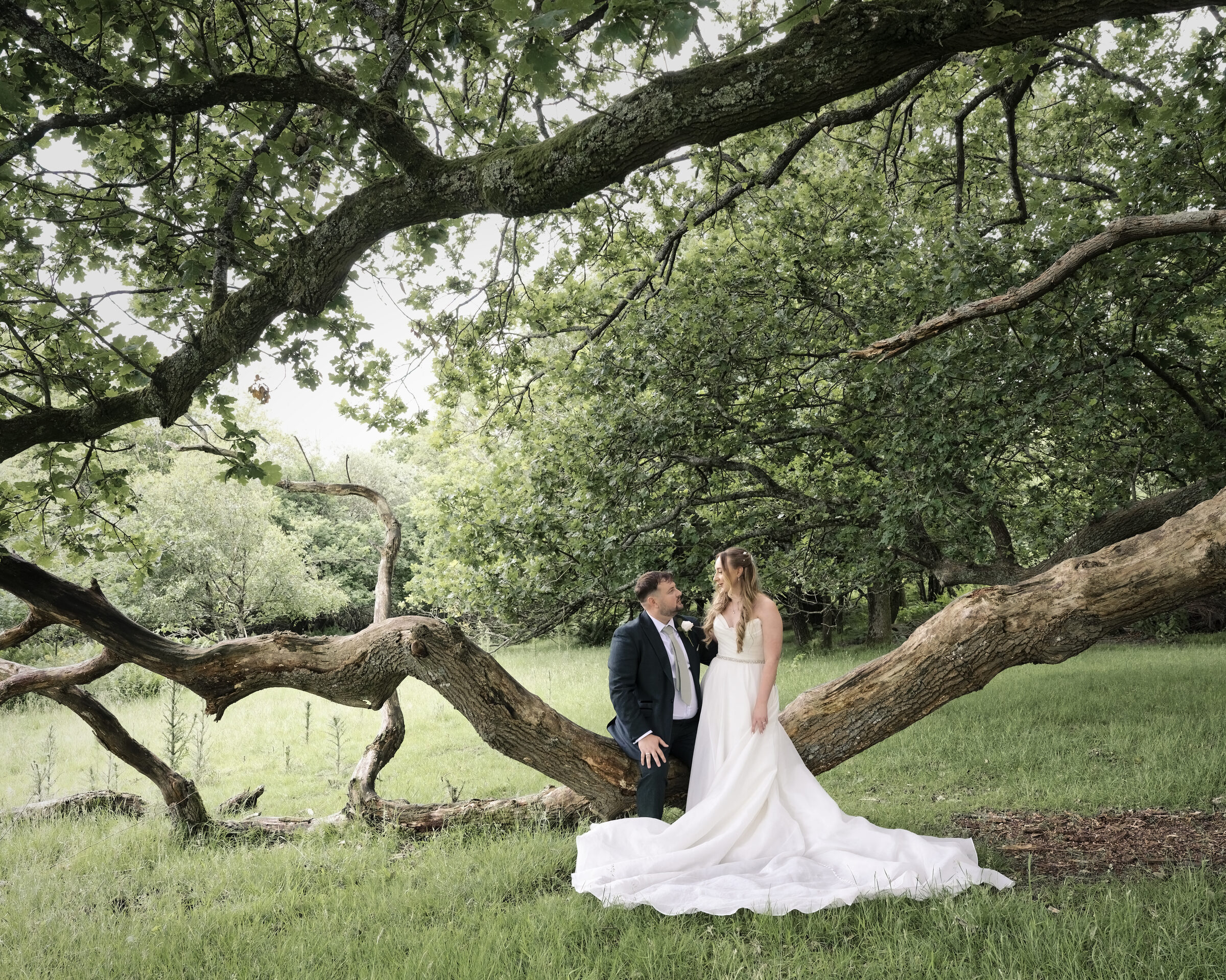 Bride and groom sitting together on a fallen oak tree in woodland near Highley Manor