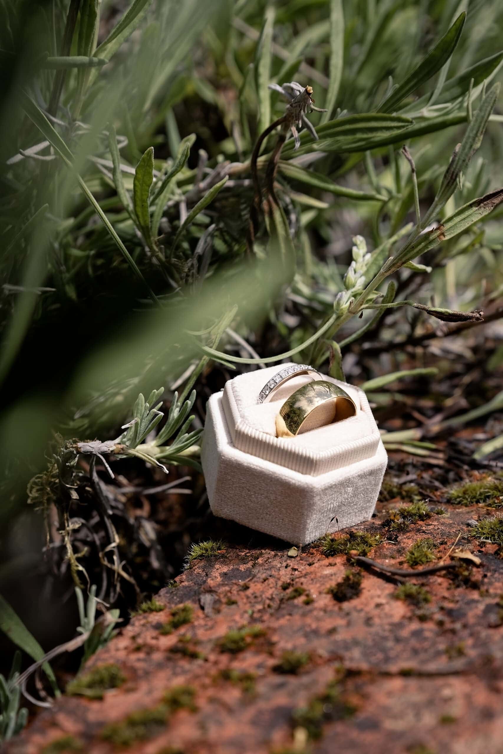 Wedding rings detail shot resting on moss