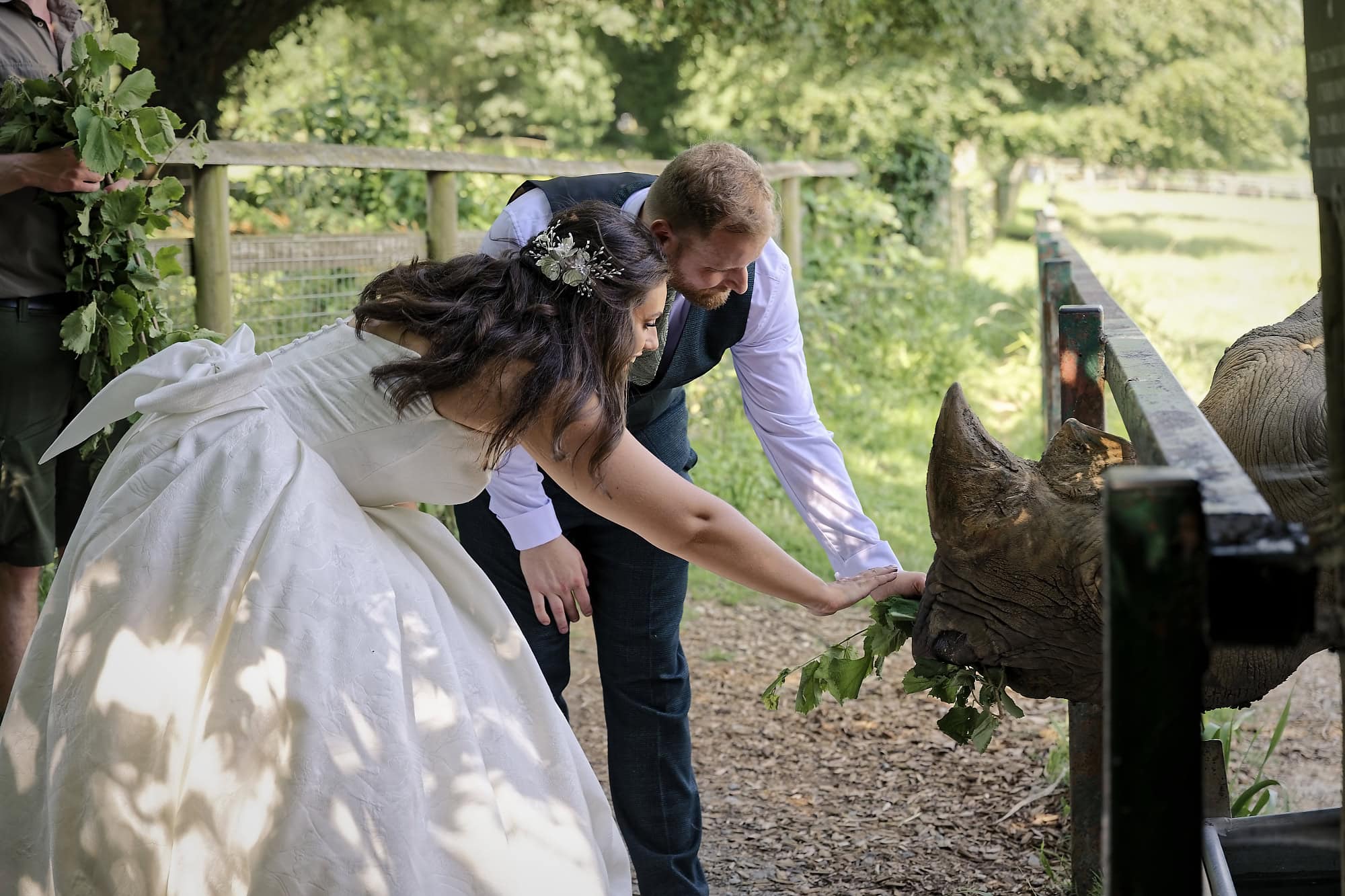 A close moment feeding the rhino with the wedding party at Port Lympne