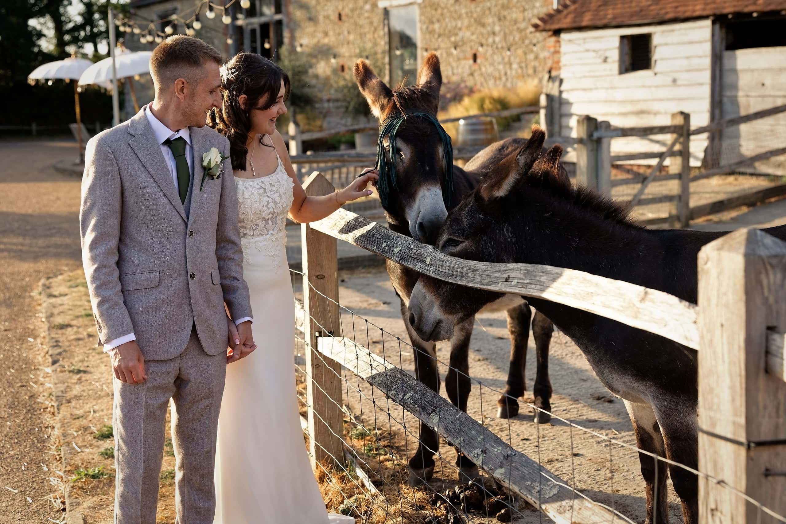 Bride and groom meeting the resident donkeys at Grittenham Barn